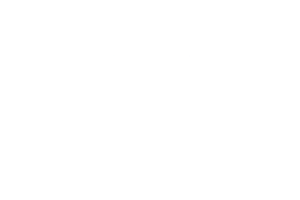 1234
